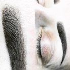 Yearly Refresher Booster – Micropigmentation